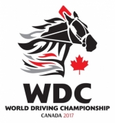 World Driving Championship